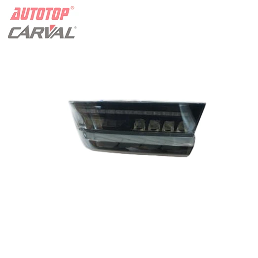 Dragon Scale Taillight for BMW New 3 Series G20/G28